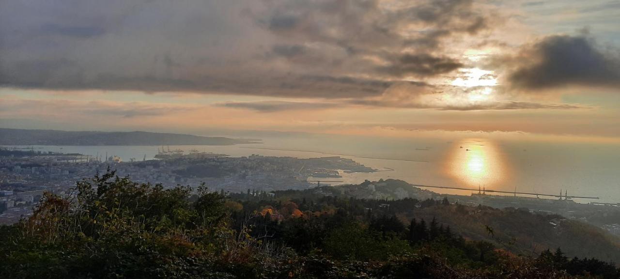 Da Noi Bed & Breakfast Trieste Bagian luar foto